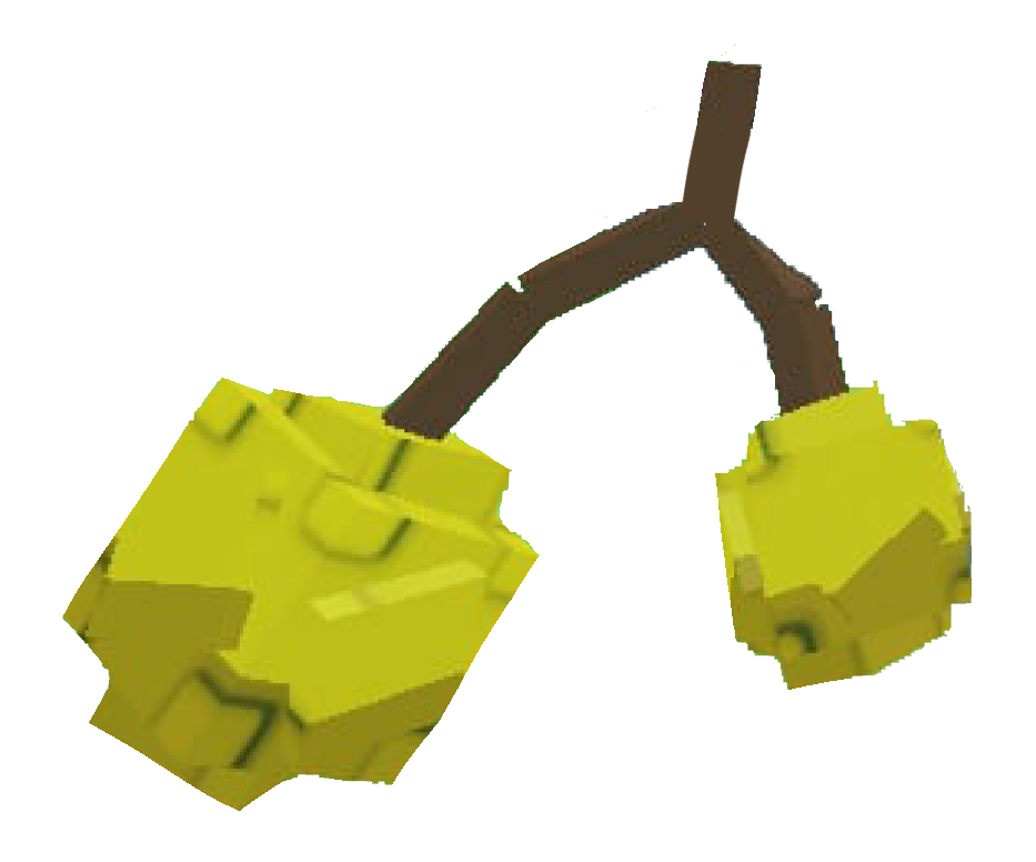 LOQUAT - Grow A Garden Fruit