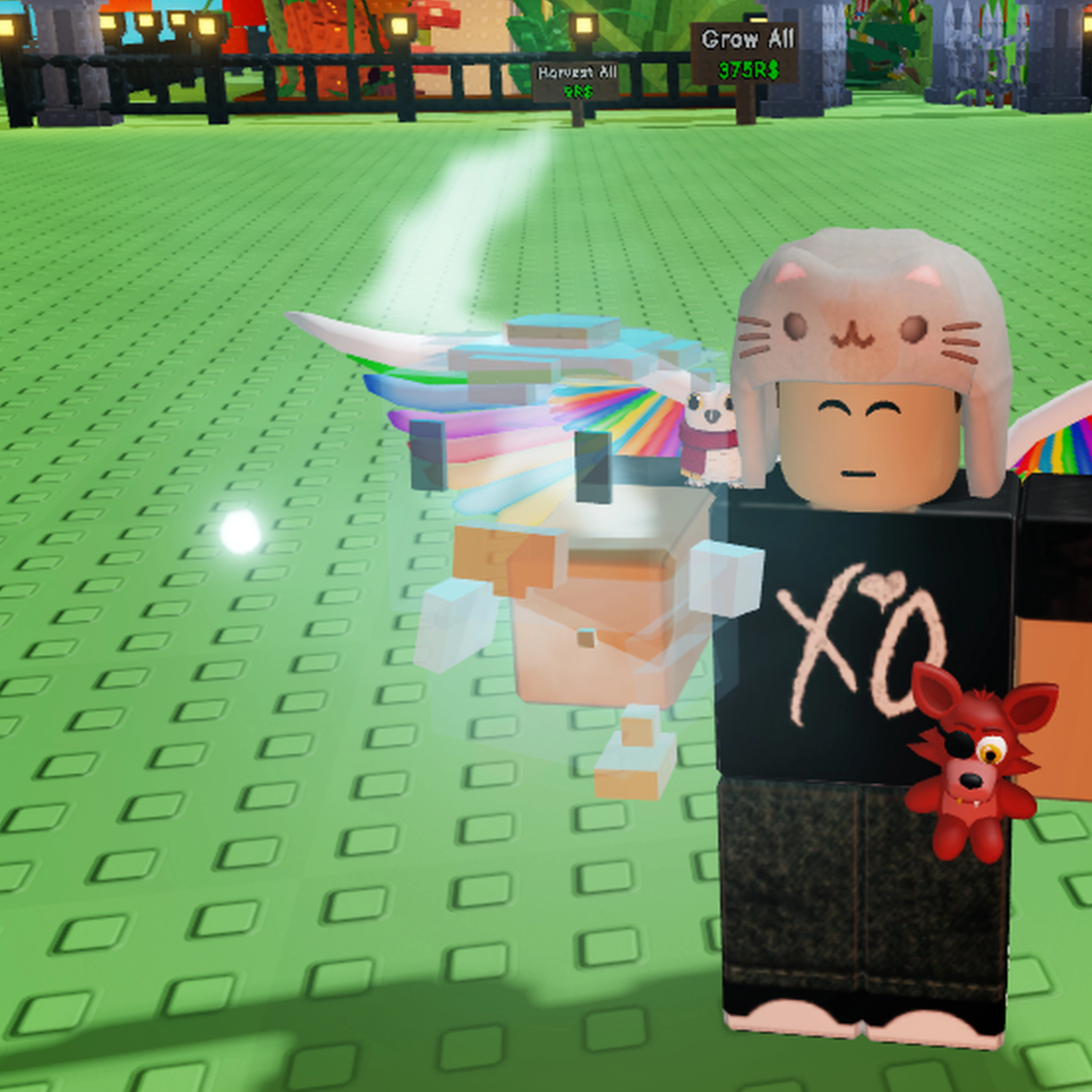 SUNNY SIDE CHICKEN - Grow A Garden Pet